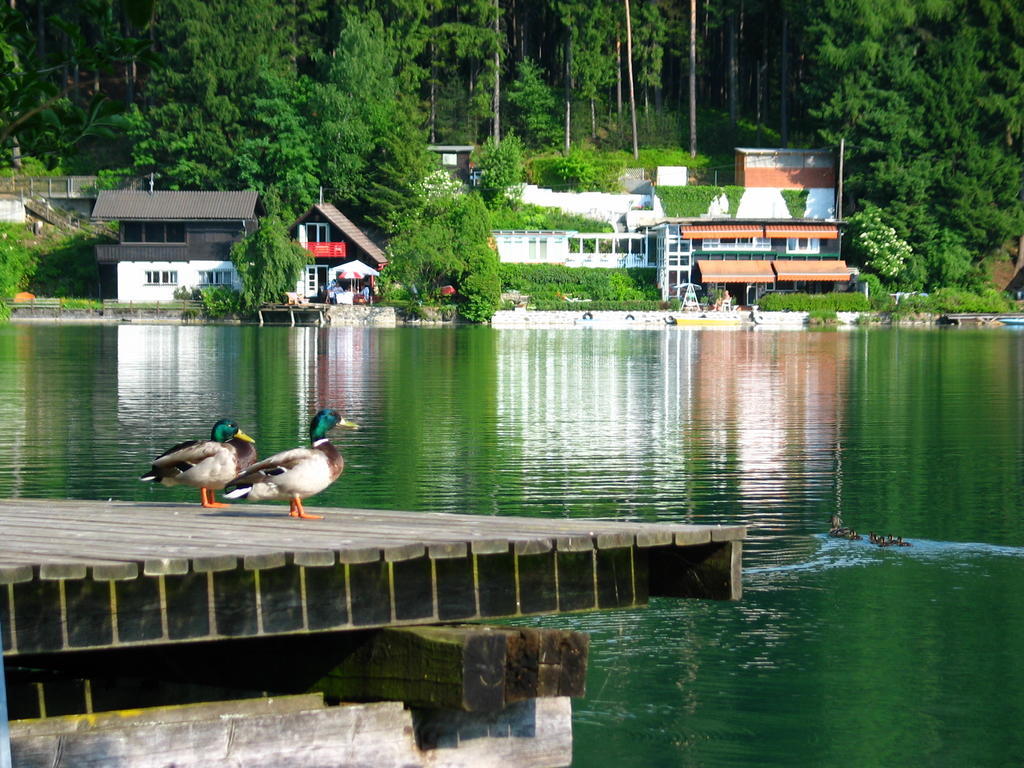 Villa Mayr Villach Luaran gambar